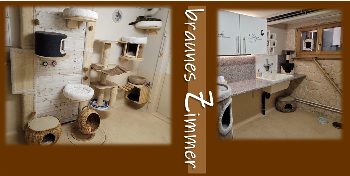braunes Zimmer
