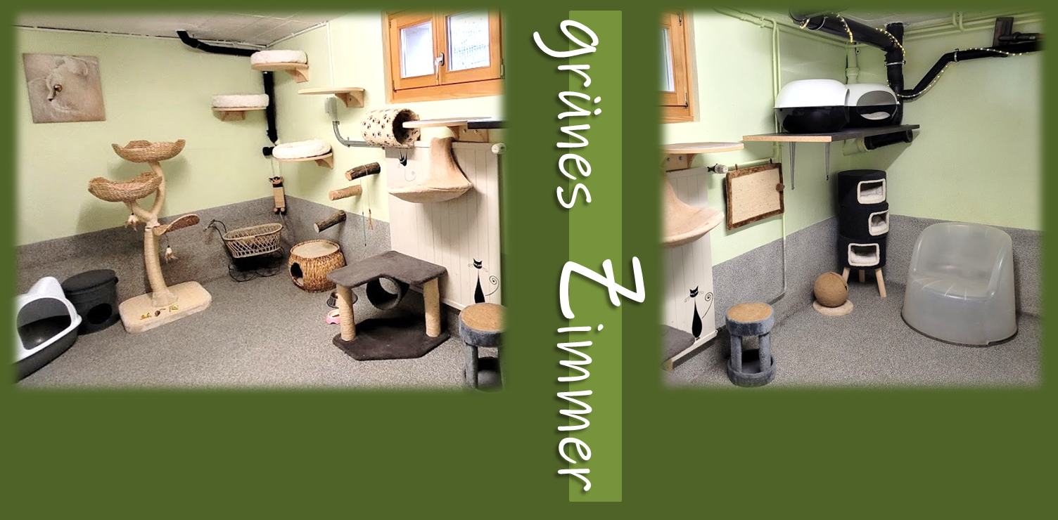 grnes Zimmer 